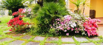 Tortoli Arbatax: Stately / prestigefyllda villa med grön trÀdgÄrd och blommor