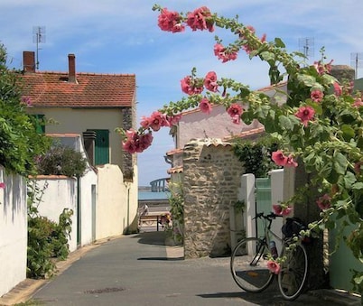 EXCLUSIVE character house, 6 people, near La Rochelle