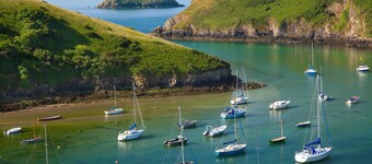 12エーカーの広大な人里離れたペット可のコテージ、探索に最適な拠点