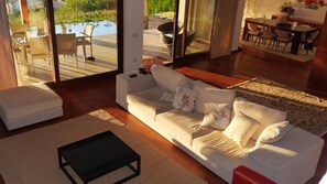 TV, fireplace, video games, DVD player - Luxury villa with pool and sea view -Free Wifi (povoa de varzim)