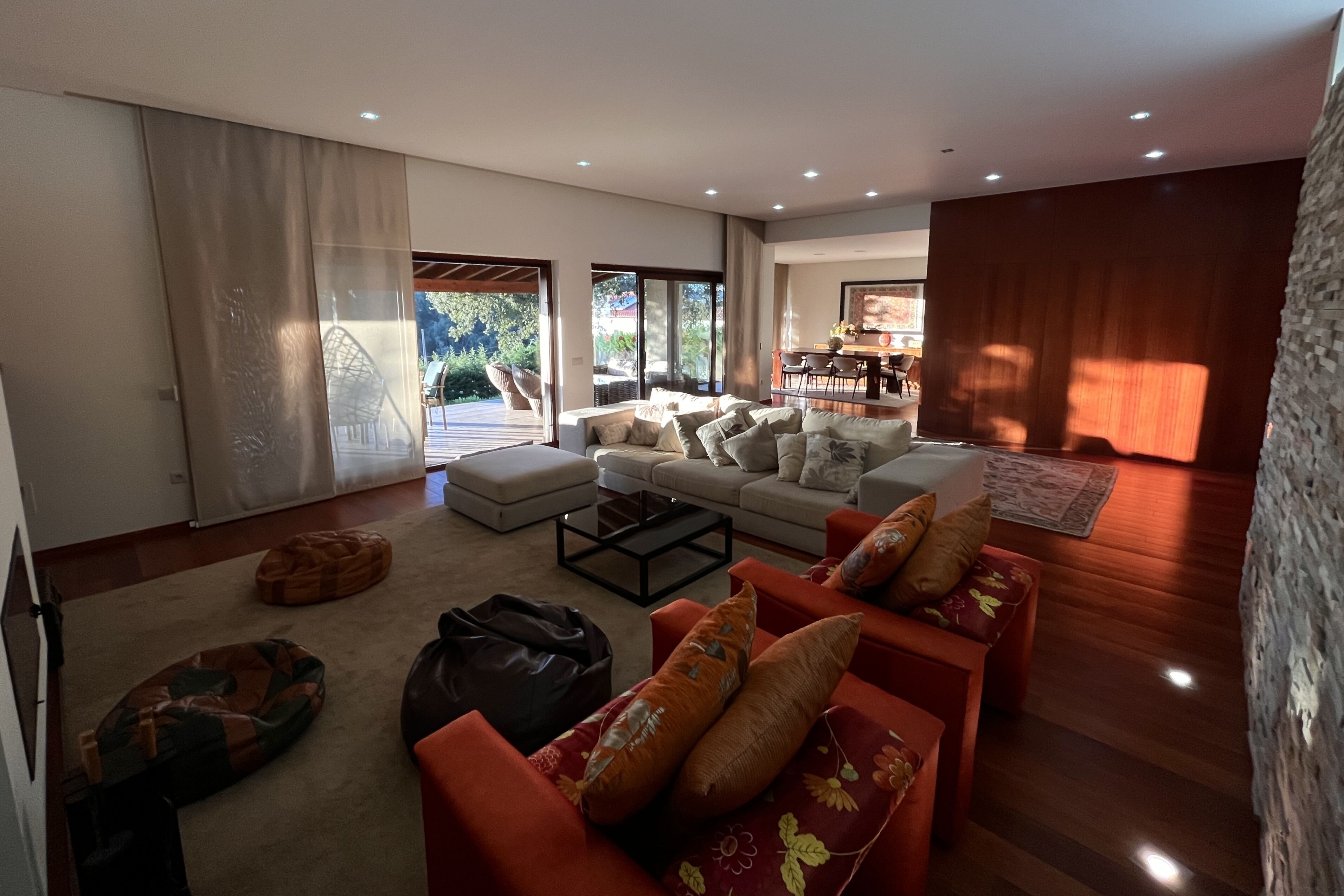 TV, fireplace, video games, DVD player