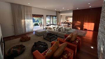 TV, fireplace, video games, DVD player