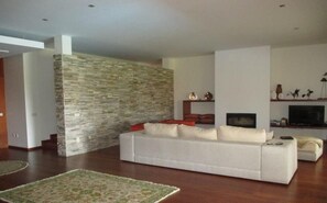 Een televisie, een open haard, videogames en een dvd-speler