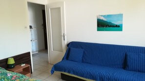 Télévision, lecteur de DVD, livres, vidéothèque