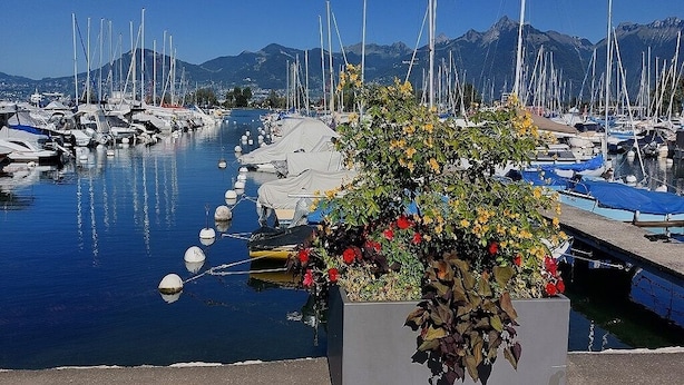 Un port de plaisance avec des bateaux amarrés, un parterre de fleurs au premier plan et des montagnes en arrière-plan.