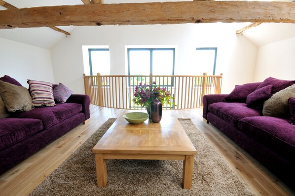 TV, fireplace, DVD player, books