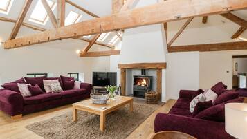 Een televisie, een open haard, een dvd-speler en boeken