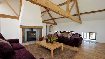 Een televisie, een open haard, een dvd-speler en boeken