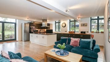 Télévision, cheminée, lecteur de DVD, livres