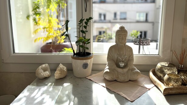 A window with a view of buildings and a tree outside. - SUPERB LOFT APARTMENT, CLASS 4*, SOUTH-FACING WITH TERRACE IN THE ORANGERIE DISTRICT (Strasbourg)