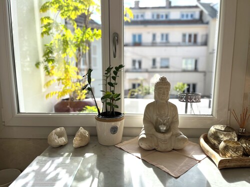 #MAGNIFIC LOFT CLIMATISÉ VOLL SÜD MIT TERRASSE QUARTER ORANGERIE #