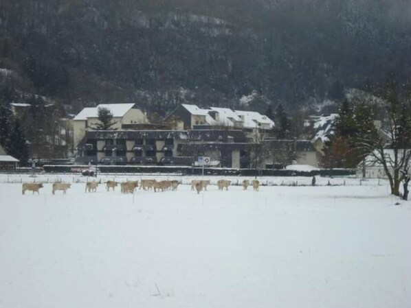Un edificio de varios pisos con un paisaje nevado al fondo.