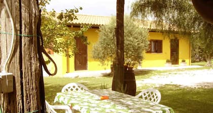 CASA VACACIÓN ROMA con jardín sumergido en el verde de los campos de los CASTILLOS ROMANOS