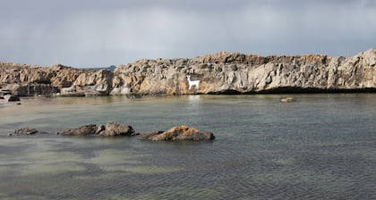 Seaside House, ideally located on the edge of the coastal village of Seahouses
