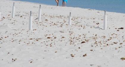 Piso / apartamento - Porto San Paolo