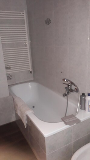 Combined shower/tub, hair dryer, bidet, towels