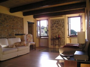 Smart TV, fireplace, DVD player, books