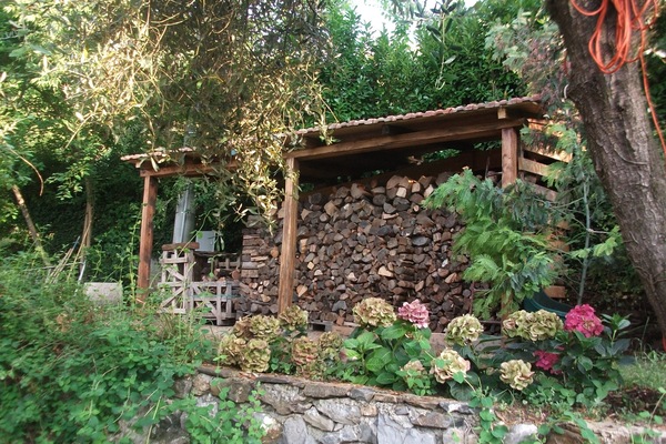 the woodshed