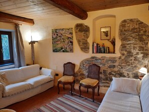 Smart TV, fireplace, DVD player, books