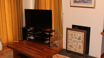Smart TV, fireplace, DVD player, books