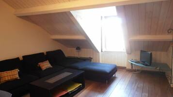 TV, DVD player, books