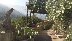 A pathway leading through a garden with cacti, flowering plants, and a rustic wooden structure.
