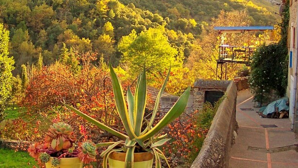 A balcony with potted plants and a view of a mountainous landscape.