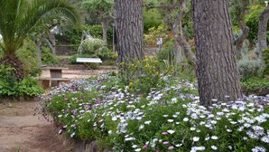 Un jardín con árboles y diversas flores.