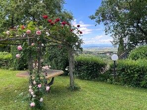 Property grounds - San Gimignano - Panoramic garden and beautiful pool! (San Gimignano)
