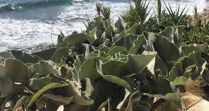 Cosy villa with own pool, climate, wifi, 4 bedrooms and sleeps 8 people