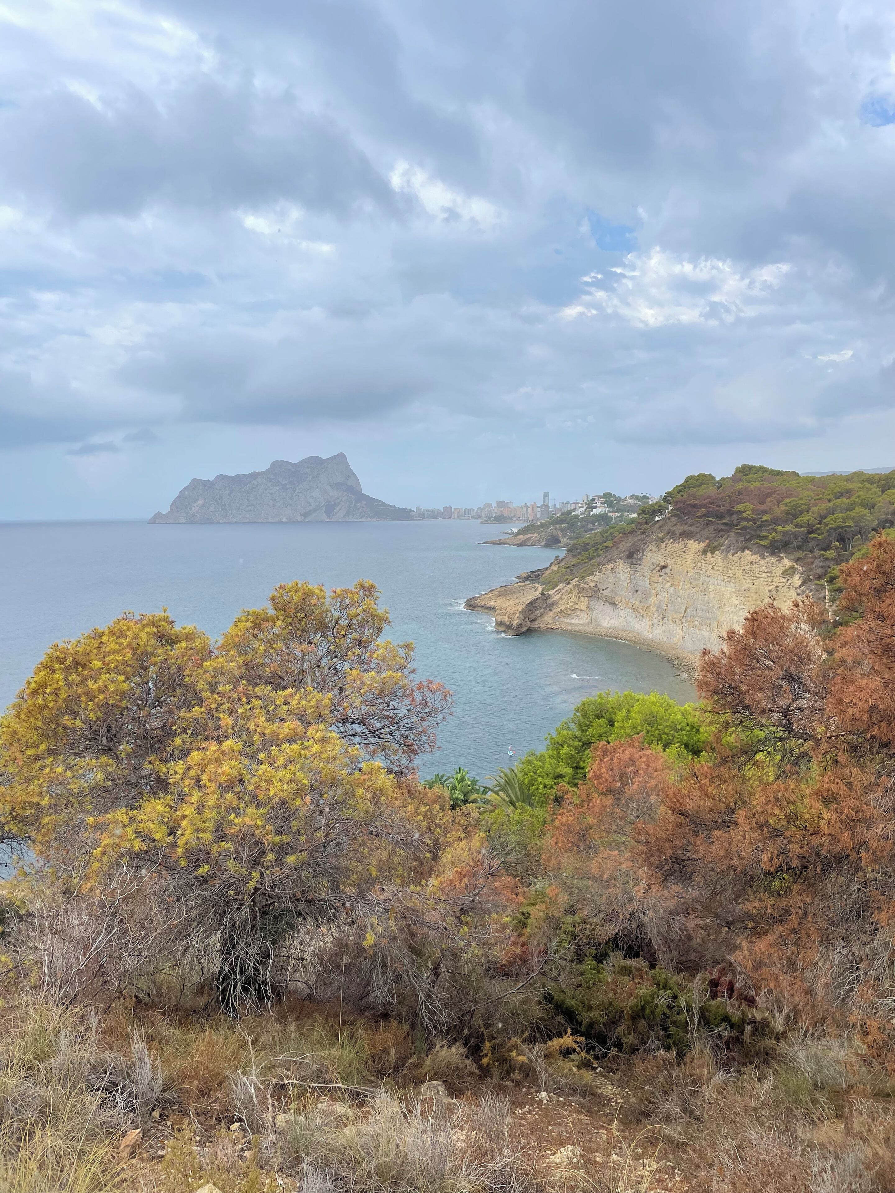 Un paysage côtier avec une montagne, des arbres et une vue sur la mer.