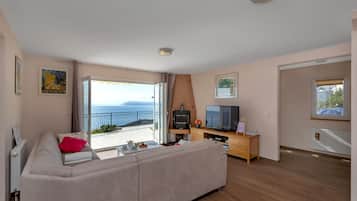 Fernseher, Kamin, DVD-Player, Bücher