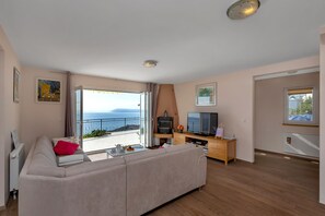 TV, fireplace, DVD player, books