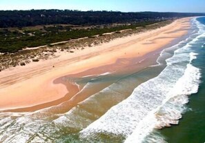 Playa