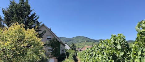 住宿地面