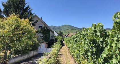 Schöne Ferienwohnung mit Garten bei Colmar