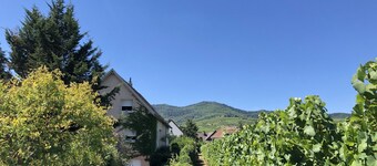 Apartment/ flat - Wettolsheim