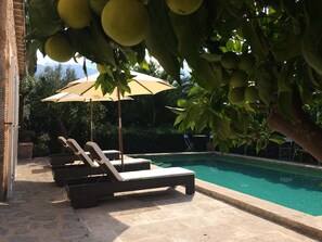 Outdoor pool, sun loungers