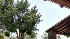 Un espacio al aire libre cubierto con un pilar de piedra, sillas rojas y un césped con árboles.