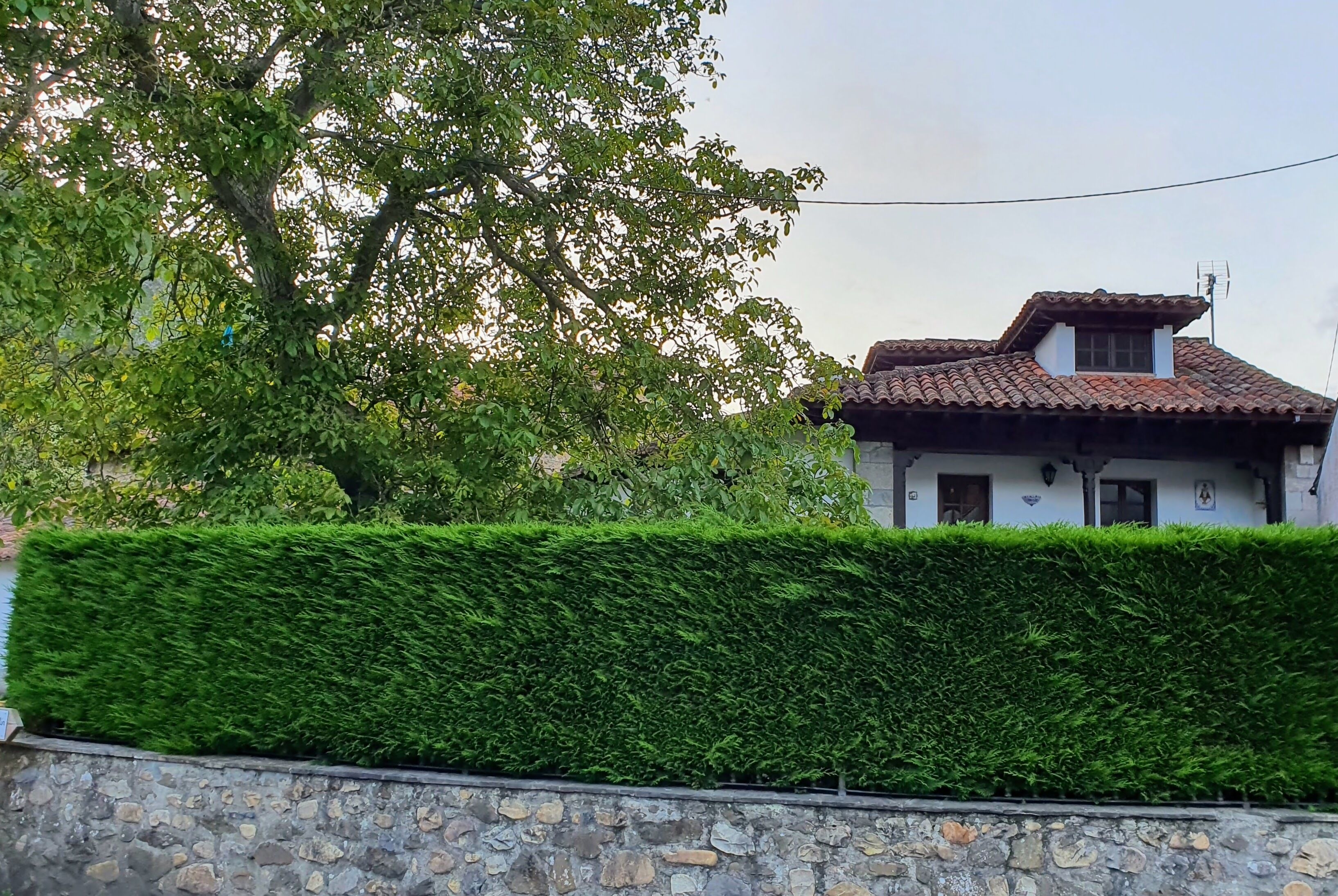 A house with a stone wall and a well-maintained hedge in front.