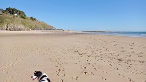 A beach with footprints and a dog. - Family Gite in the Countryside, with Outdoor Heated Swimming Pool. Pet Friendly (Montsenelle)