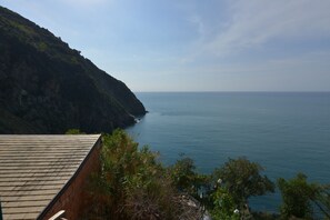 施設からの眺望