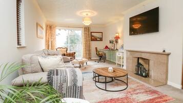 Smart TV, fireplace, books