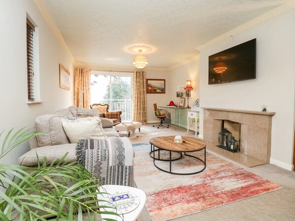 Smart TV, fireplace, books