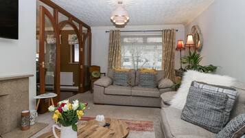 Smart TV, fireplace, books
