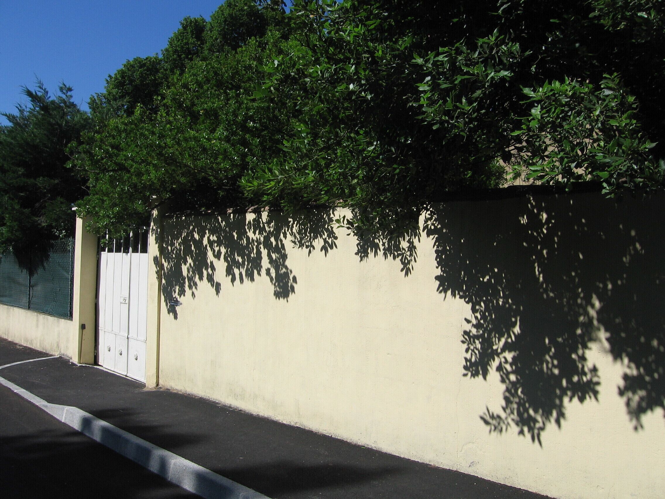 Un mur de couleur beige, avec un portail blanc et un arbre qui projette son ombre sur le mur.