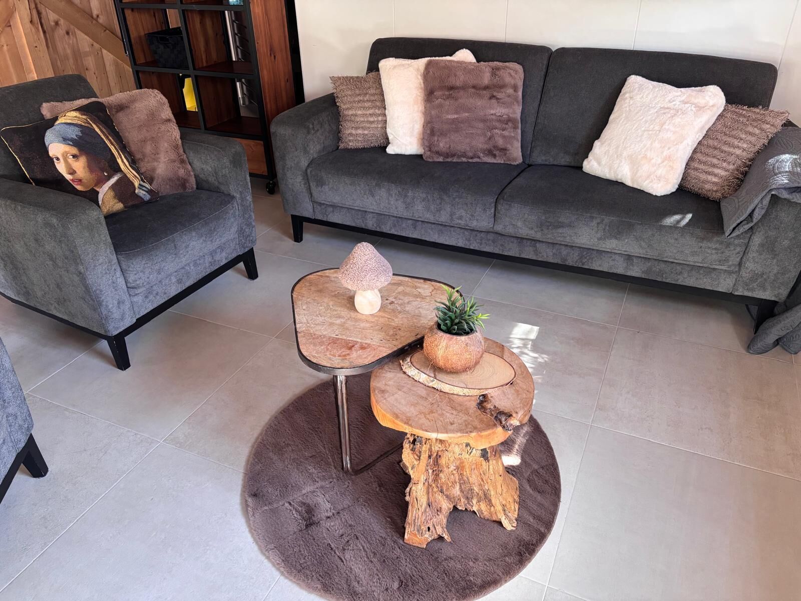 TV connectée, lecteur de DVD, vidéothèque