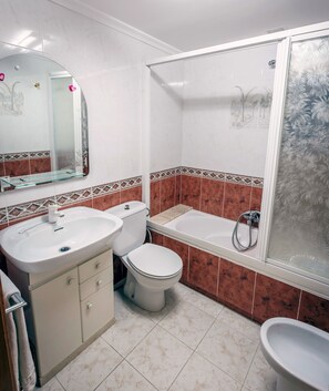 Combined shower/tub, hair dryer, bidet, towels