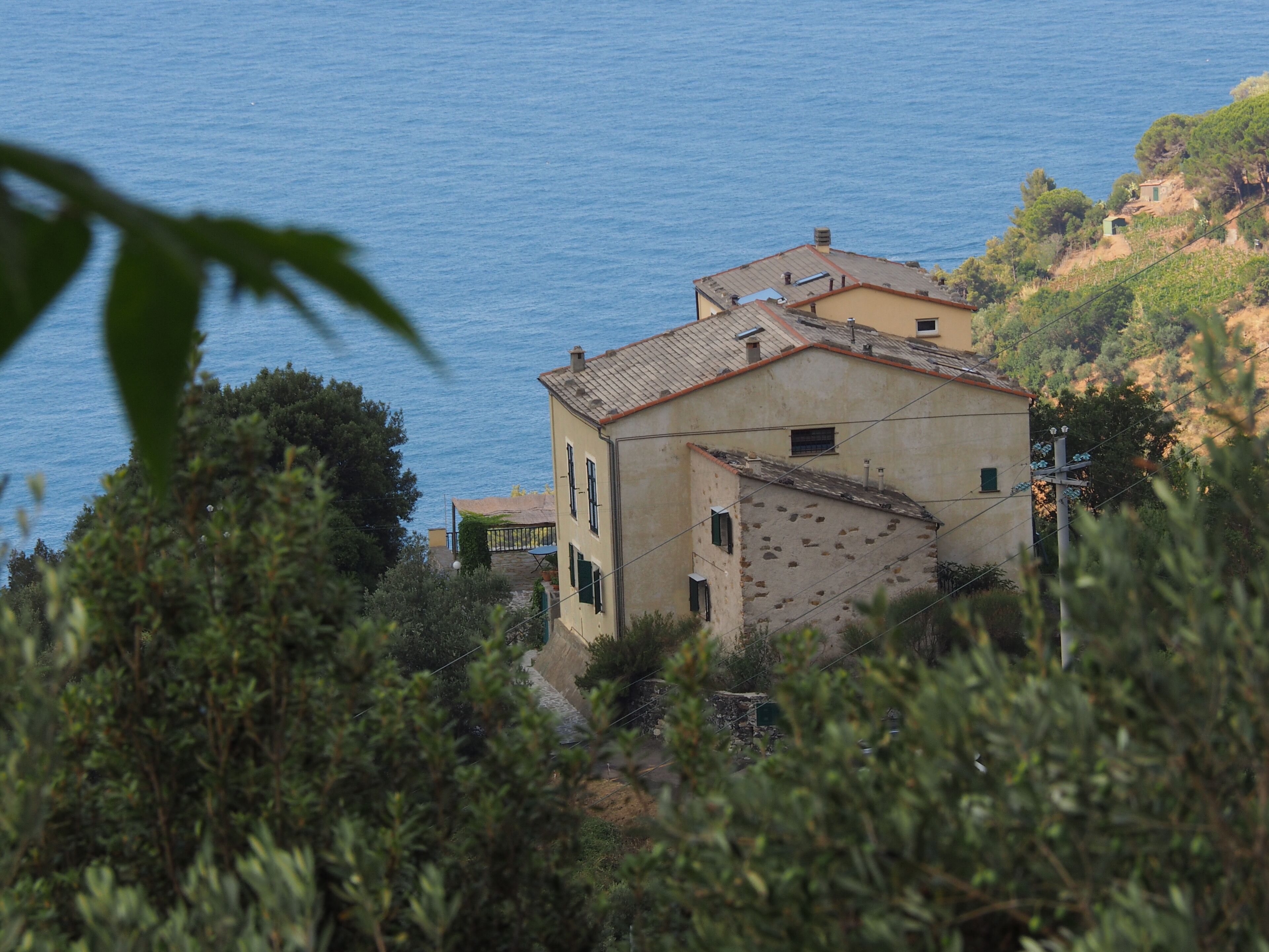 Among olive trees and lavender, small detached house with garden and private parking
