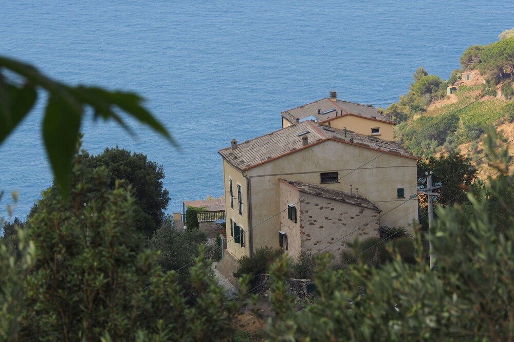 Among olive trees and lavender, small detached house with garden and private parking